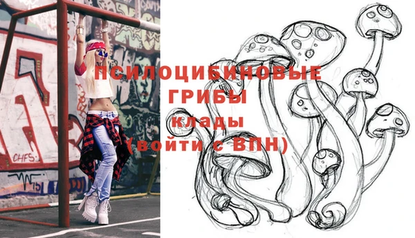 прущая мука Алексин