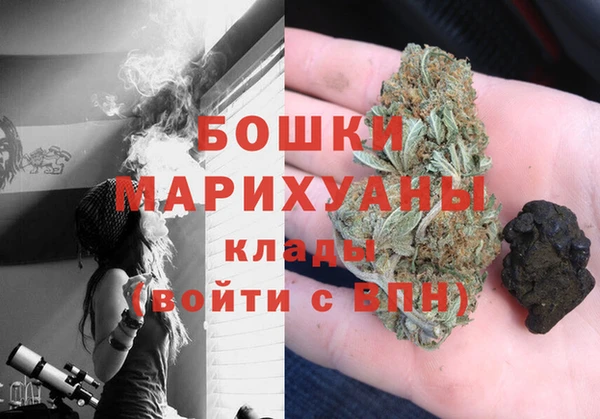 PSILOCYBIN Алзамай