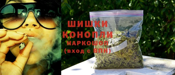 PSILOCYBIN Алзамай
