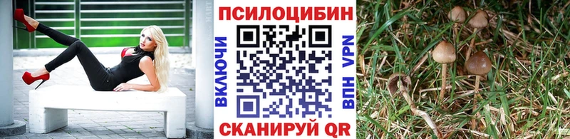 Купить  Пудож  Псилоцибиновые грибы Magic Shrooms 